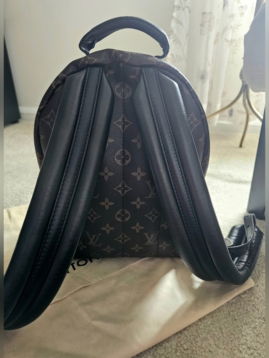Louis Vuitton Palm Springs Backpack PM Size main image 9